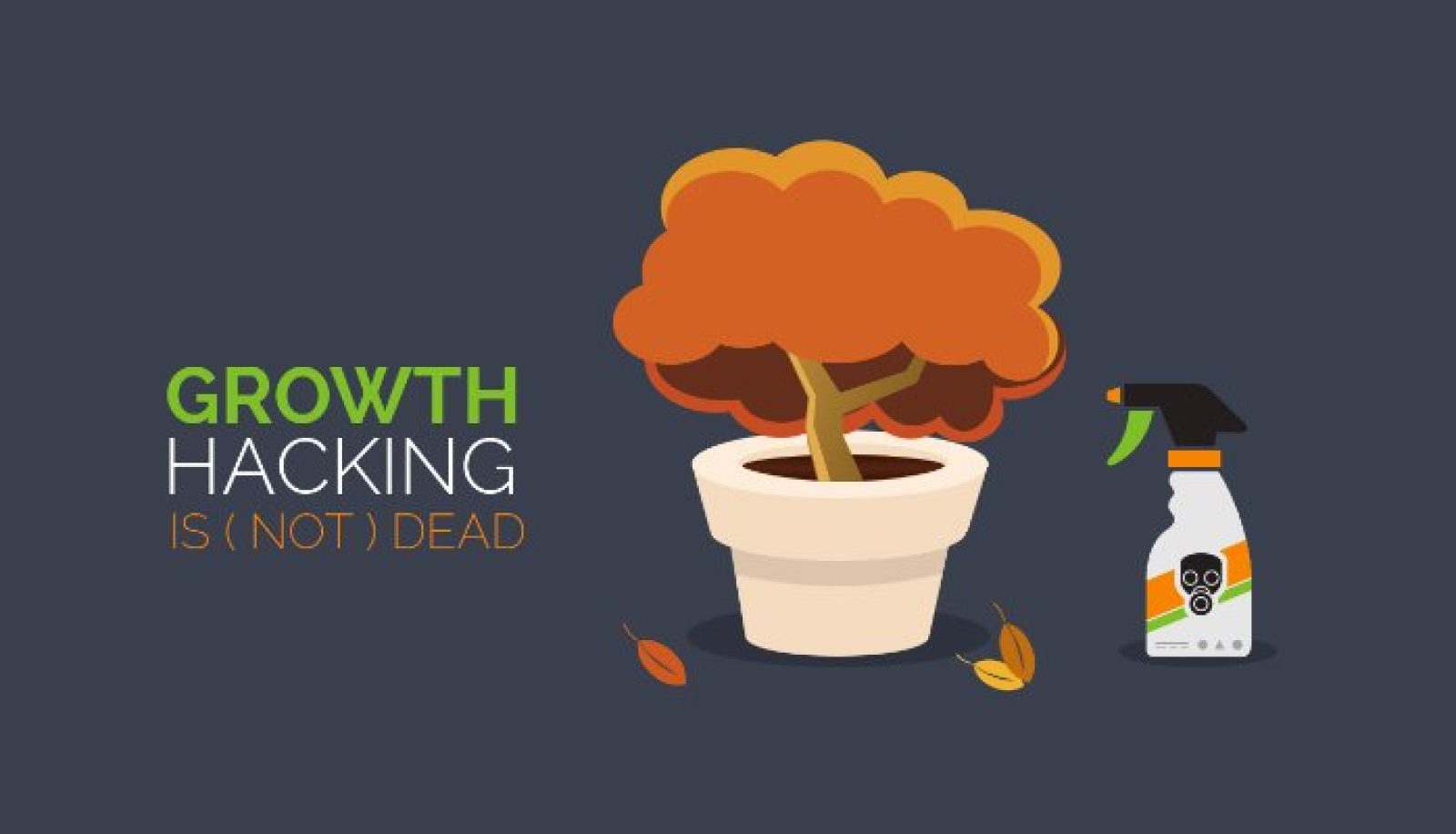 Growth Hacking
